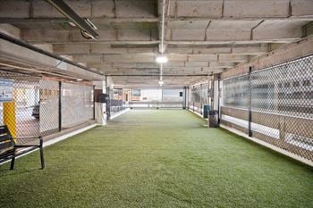 Indoor dog park at sky on main